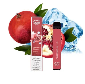 Puff Plus Pomegranate Ice (800 Puffs)