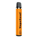 VapeSoul Extra Peach Ice (2000 Puffs)